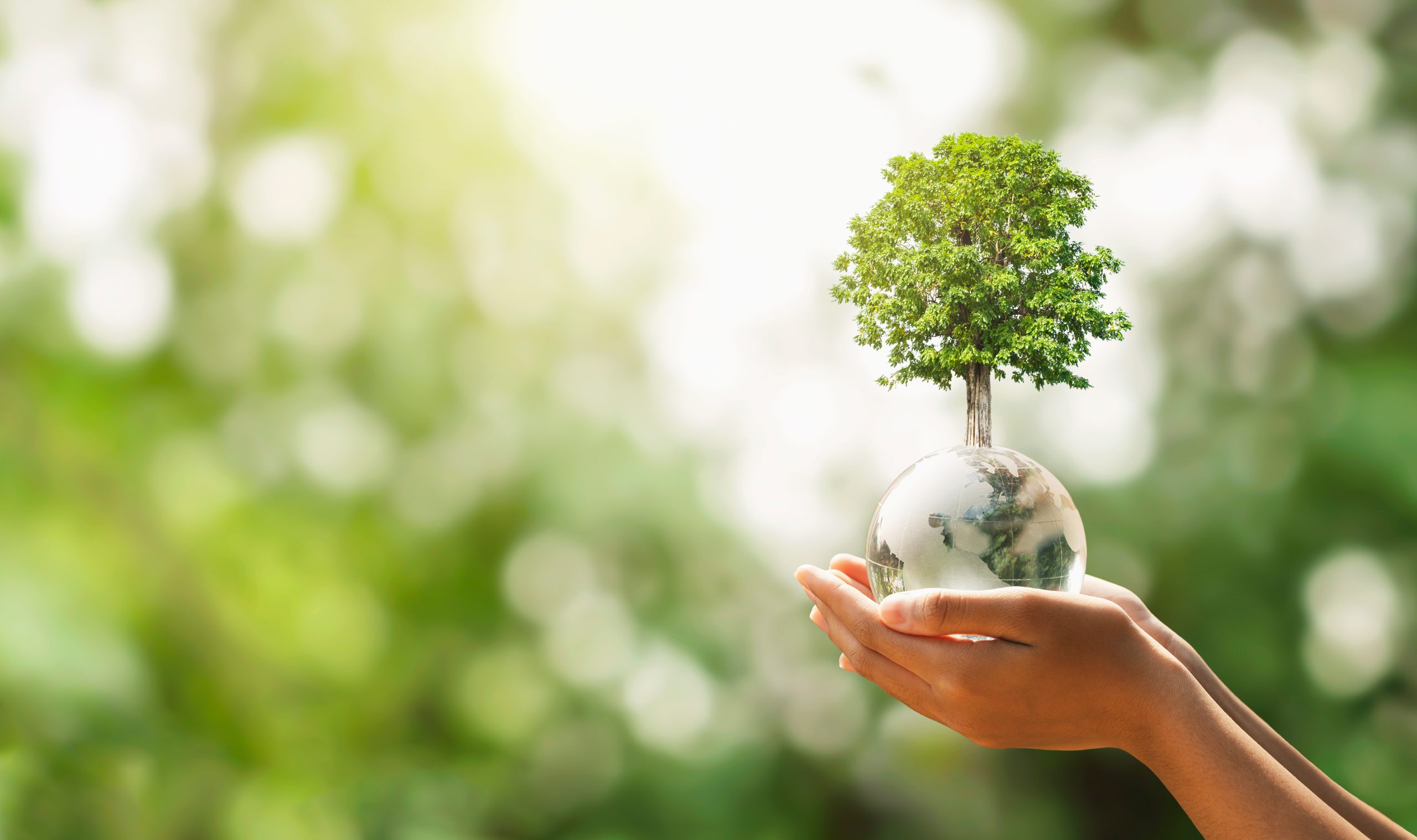 Environment, social and governance report